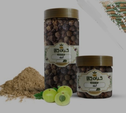 میوه آمله خشک یا پودری بسته بندی فروش صادراتی